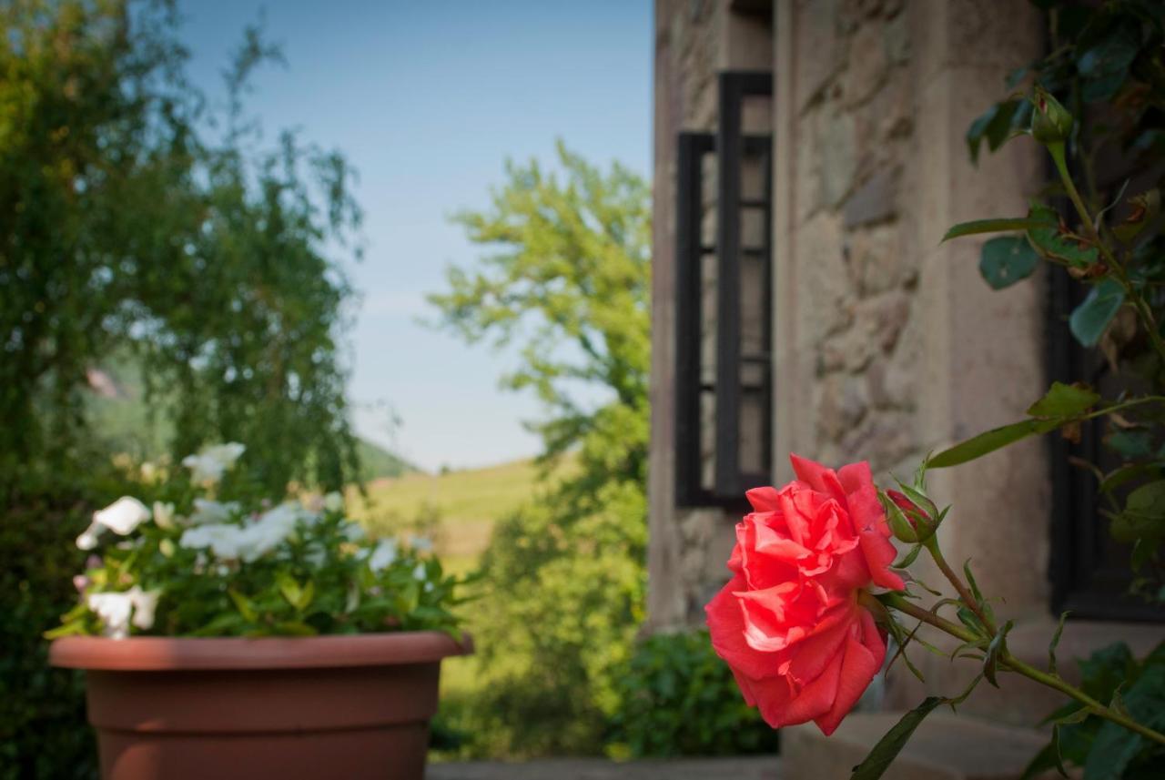 El Molino De Cicera Guest House ภายนอก รูปภาพ