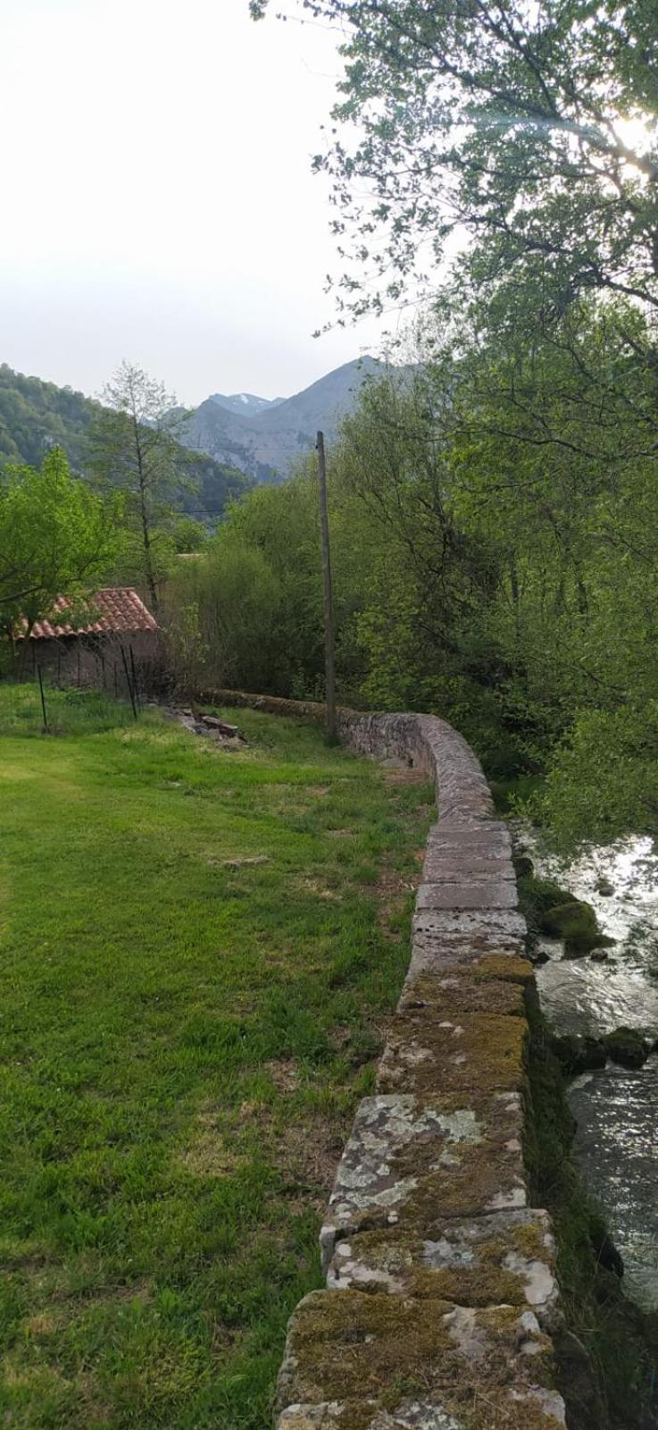 El Molino De Cicera Guest House ภายนอก รูปภาพ
